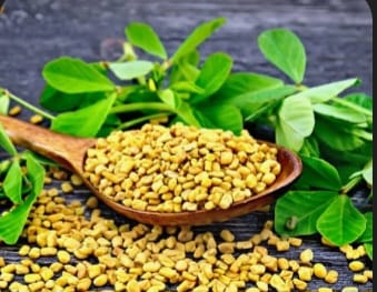 Fenugreek Seeds